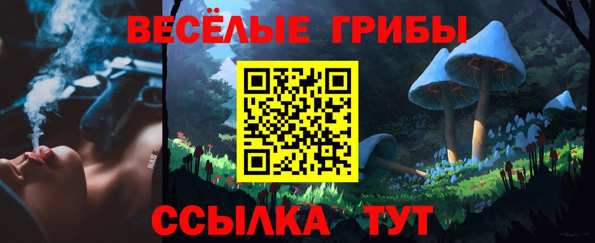 Псилоцибиновые грибы прущие грибы Семилуки