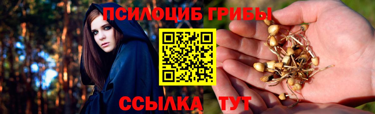 Семилуки  Псилоцибиновые грибы мухоморы  Вход с VPN  Галлюциногенные грибы GOLDEN TEACHER 